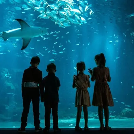 Lägenhet Moderne Sur Proche De La Et Nausicaa